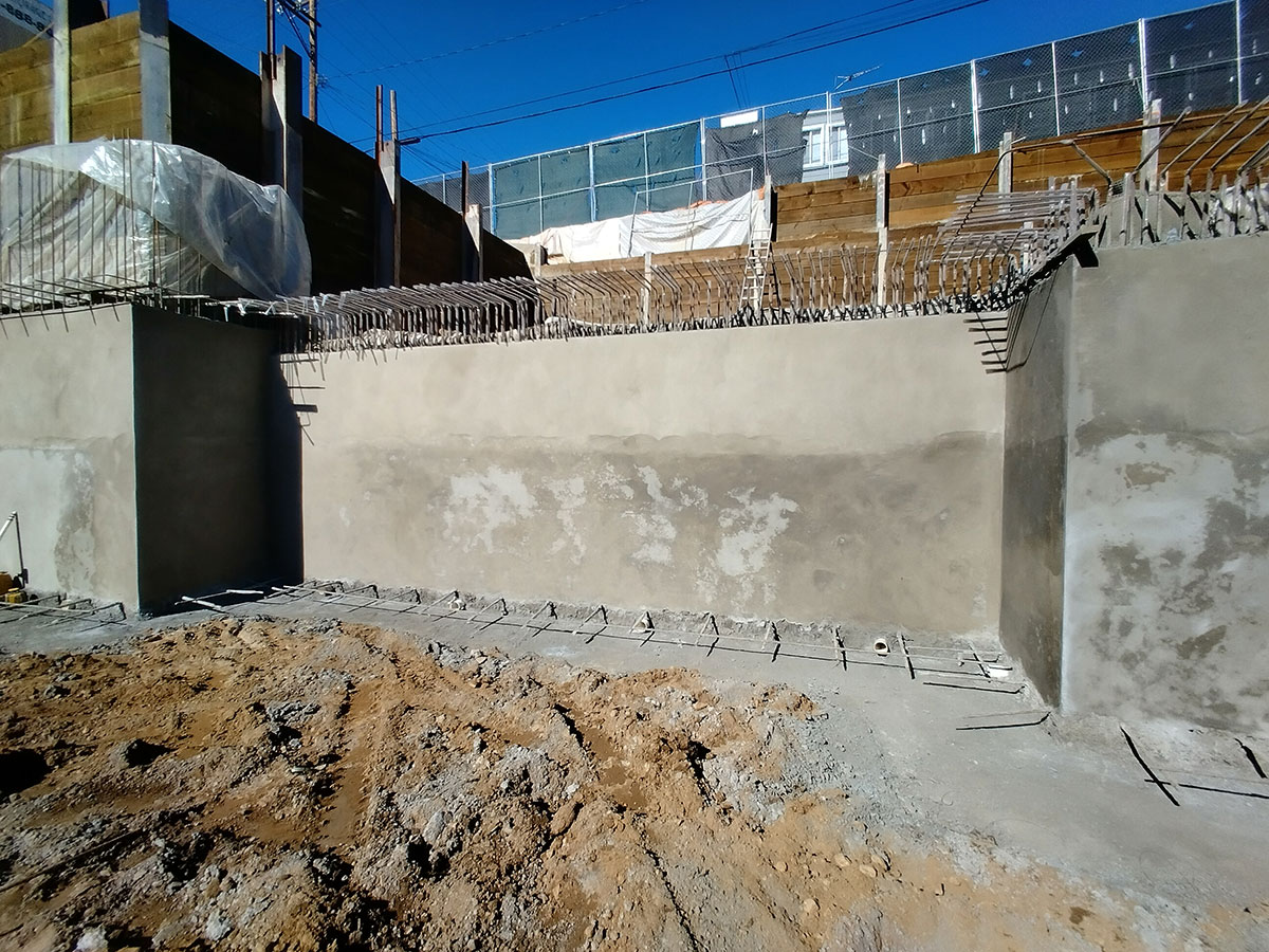 ESC team performing a pre-construction assessment.